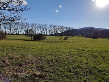 Prodej pozemku 2240 m², Okrouhlá