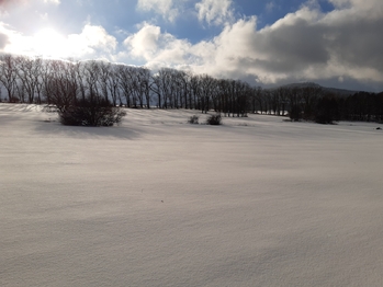 Prodej pozemku 2240 m², Okrouhlá