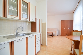 Kuchyň - Prodej bytu 1+kk v osobním vlastnictví 40 m², Břeclav