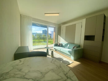 Pronájem bytu 1+kk v osobním vlastnictví 31 m², Praha 4 - Braník