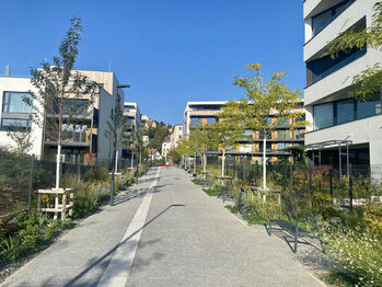 Pronájem bytu 1+kk v osobním vlastnictví 31 m², Praha 4 - Braník