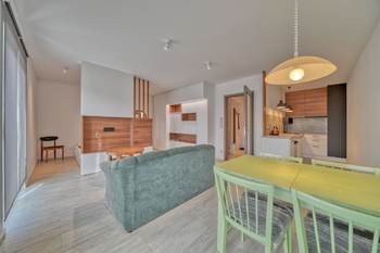 Pronájem bytu 1+kk v osobním vlastnictví 58 m², Poděbrady