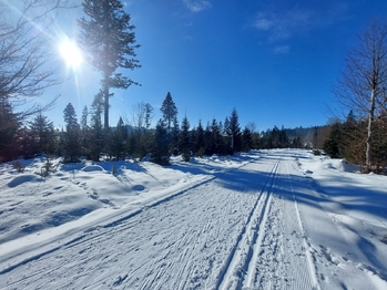 Prodej bytu 1+kk v osobním vlastnictví 38 m², Haidmühle