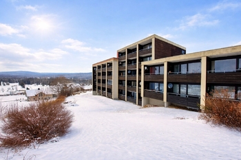 Prodej bytu 1+kk v osobním vlastnictví 38 m², Haidmühle