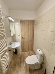 Pronájem bytu 1+kk v osobním vlastnictví 36 m², Hořovice