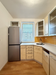 Pronájem bytu 2+kk v osobním vlastnictví 51 m², Plzeň