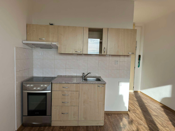 Pronájem bytu 1+kk v osobním vlastnictví 21 m², České Budějovice