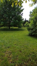 Prodej domu 160 m², Přílepy