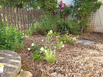 Prodej domu 160 m², Přílepy