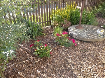 Prodej domu 160 m², Přílepy