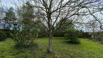 Prodej domu 160 m², Přílepy