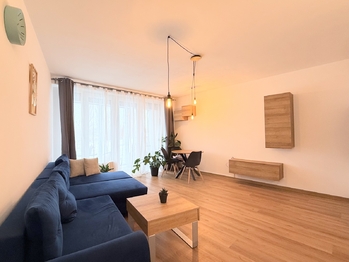 Pronájem bytu 1+kk v osobním vlastnictví 2090 m², Plzeň