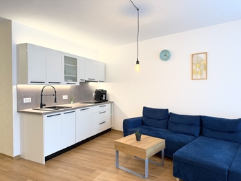 Pronájem bytu 1+kk v osobním vlastnictví 2090 m², Plzeň