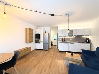 Pronájem bytu 1+kk v osobním vlastnictví 2090 m², Plzeň