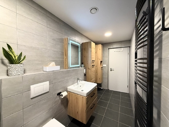 Pronájem bytu 1+kk v osobním vlastnictví 2090 m², Plzeň