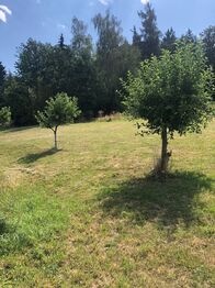 Prodej pozemku 2124 m², Bušanovice