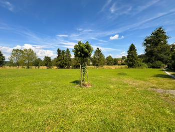 Prodej pozemku 900 m², Sedlnice