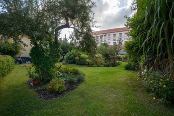 Pronájem bytu 1+1 v osobním vlastnictví 36 m², Zákupy