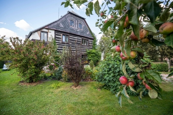 Pronájem bytu 1+1 v osobním vlastnictví 36 m², Zákupy