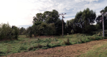 Prodej pozemku 4772 m², Suchdol nad Odrou