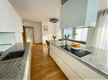 Pronájem bytu 4+kk v osobním vlastnictví 217 m², Praha 3 - Žižkov