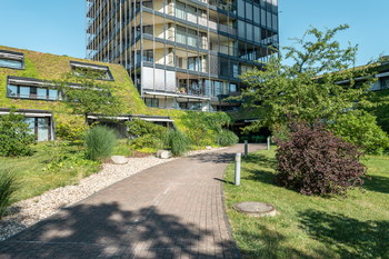 Pronájem bytu 4+kk v osobním vlastnictví 217 m², Praha 3 - Žižkov