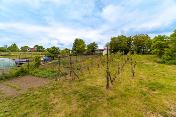 Prodej domu 250 m², Klobouky u Brna