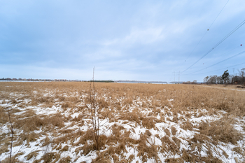 Prodej pozemku 10898 m², Veltruby