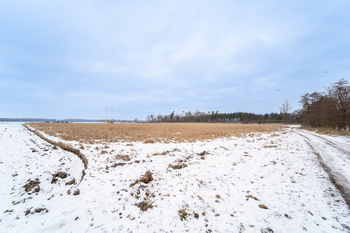 Prodej pozemku 10898 m², Veltruby