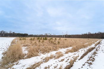 Prodej pozemku 10898 m², Veltruby