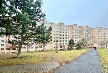 Prodej bytu 1+kk v družstevním vlastnictví 33 m², Most