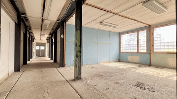 Prodej pozemku 5220 m², Horní Jiřetín