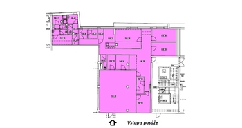 Pronájem obchodních prostor 257 m², Praha 3 - Vinohrady