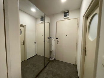 Pronájem bytu 1+kk v osobním vlastnictví 27 m², Brno