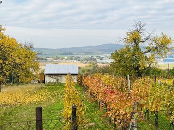 Prodej chaty / chalupy 20 m², Kyjov