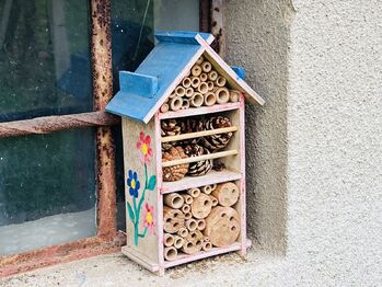 Prodej chaty / chalupy 20 m², Kyjov