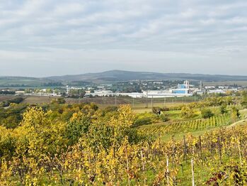 Prodej chaty / chalupy 20 m², Kyjov