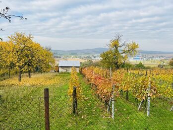 Prodej chaty / chalupy 20 m², Kyjov