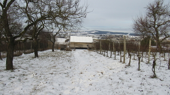 Prodej chaty / chalupy 20 m², Kyjov