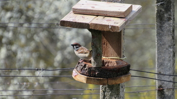 Prodej chaty / chalupy 20 m², Kyjov