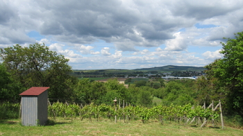 Prodej chaty / chalupy 20 m², Kyjov