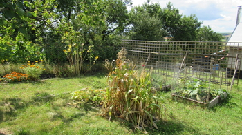 Prodej chaty / chalupy 20 m², Kyjov