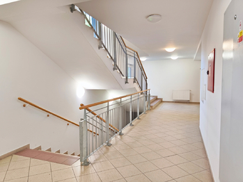 Budova - společné prostory - chodba u bytu a vstup na zahradu.  - Pronájem bytu 2+kk v osobním vlastnictví 60 m², Praha 8 - Libeň