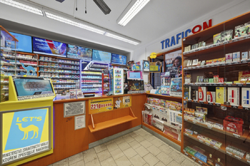 Prodej domu 274 m², Kadaň