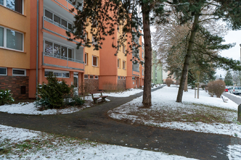 Prodej bytu 2+kk v družstevním vlastnictví 44 m², Teplice