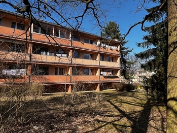 Prodej bytu 2+kk v družstevním vlastnictví 44 m², Teplice