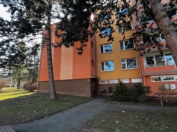 Prodej bytu 2+kk v družstevním vlastnictví 44 m², Teplice