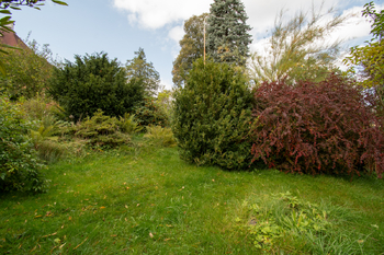 Prodej pozemku 502 m², Vilémov