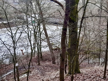 Prodej pozemku 4150 m², Benešov