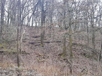 Prodej pozemku 4150 m², Benešov